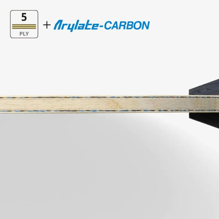 Butterfly Fan Zhendong ALC FL