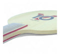 DHS Y10 (For Youth more than 8 Years) Table Tennis Blade