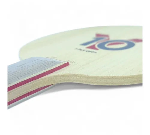 DHS Y10 (For Youth more than 8 Years) Table Tennis Blade