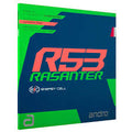 Andro Rasanter R53
